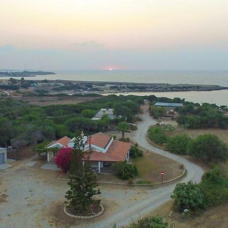 Balci Plaza Hotel And Balci Plaza Guest Bungalows Karpaz Peninsula Selenias Exterior photo