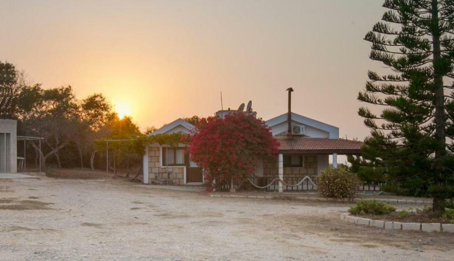 Balci Plaza Hotel And Balci Plaza Guest Bungalows Karpaz Peninsula Selenias Exterior photo